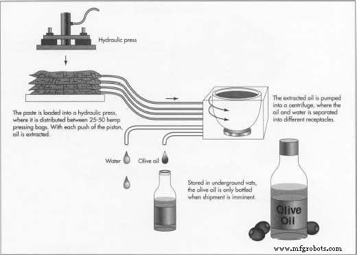 Aceite de Oliva: De Tradiciones Ancestrales a Producción Moderna