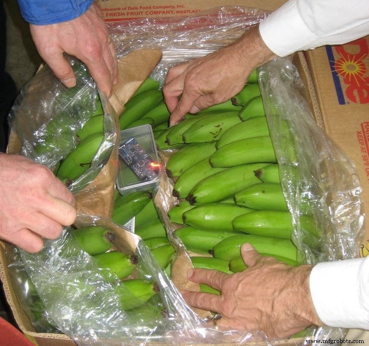 Container 4.0: Revolucionando el transporte marítimo de alimentos con sensores inteligentes