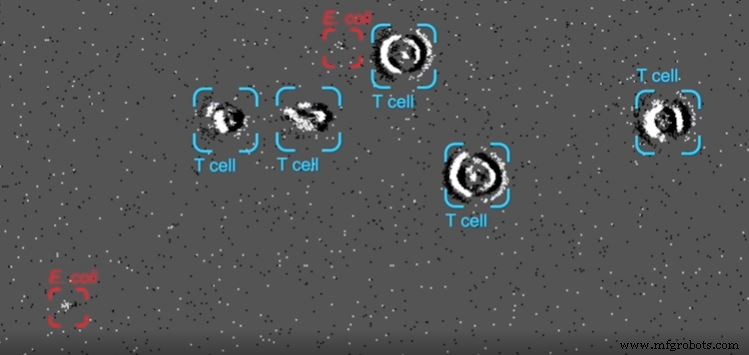 Visión Neuromórfica Impulsa Avances desde la Salud hasta el Espacio
