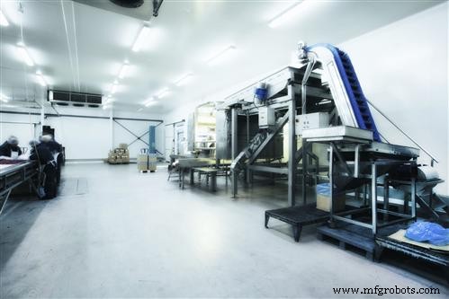 Garantizando prácticas sanitarias en la fabricación de alimentos para mascotas: Guía completa