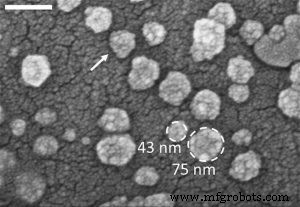 Revolucionando la detección temprana de enfermedades con biotecnología a nanoescala