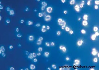 Nanodiamantes: Sensores magnéticos ultra-precisos para aplicaciones biomédicas y cuánticas
