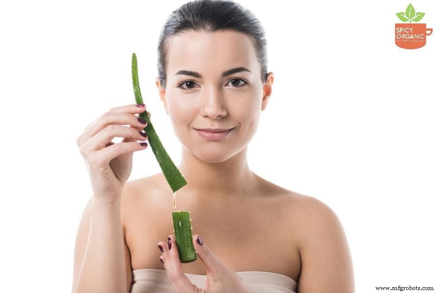 Descubre el Poder del Polvo de Aloe Vera Orgánico: Beneficios Comprobados para Salud y Piel