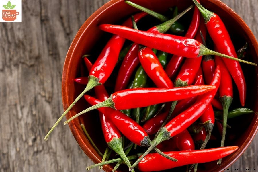 Diferencias Entre Pimentón Rojo y Polvo de Chili Rojo: Guía Completa