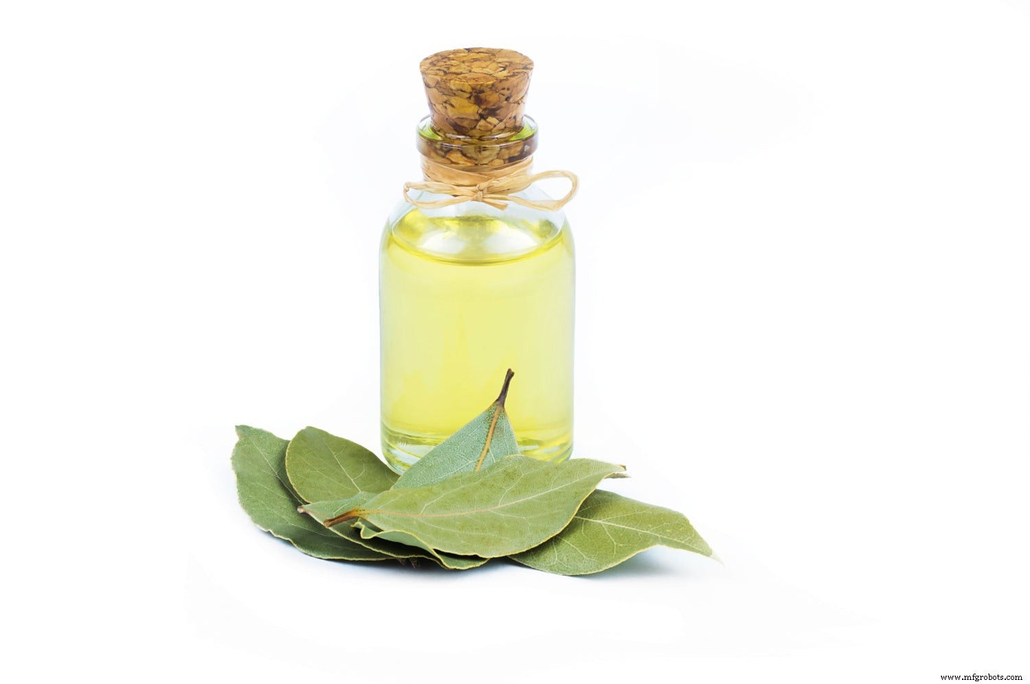 9 beneficios comprobados de las hojas de laurel orgánicas para la salud (con consejos de expertos)