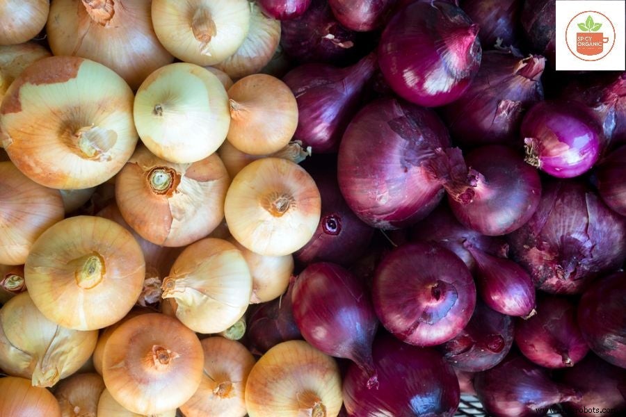 Por qué cultivar cebollas orgánicas a partir de semillas es una elección inteligente