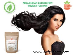 11 beneficios comprobados del polvo de amla orgánica (grosella espinosa india)