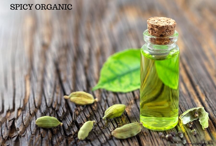Cardamomo negro vs verde: Usos, sabores y beneficios para la salud