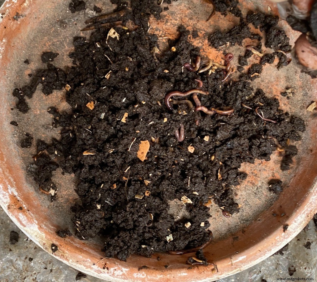 El lento arte del teñido textil natural: Un viaje personal