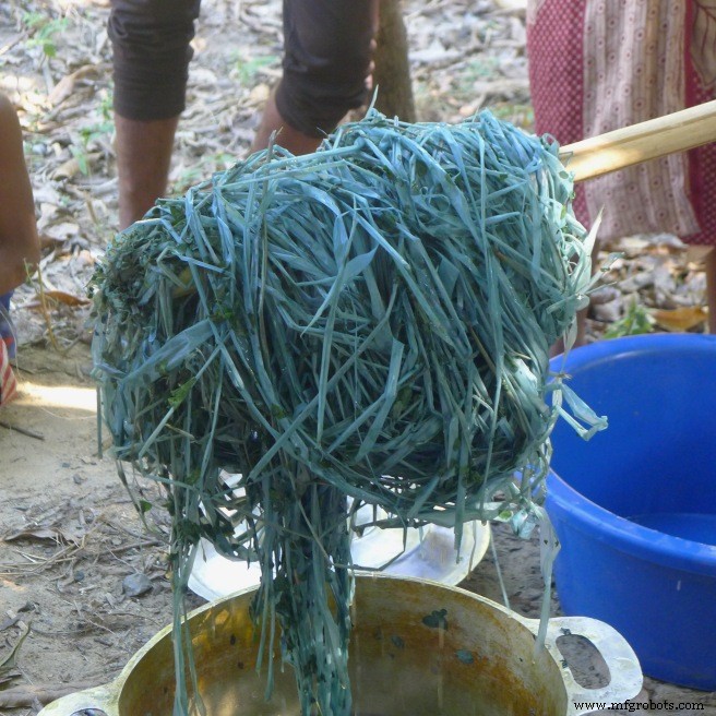 Dominando el teñido con hoja fresca de índigo: Un enfoque sostenible