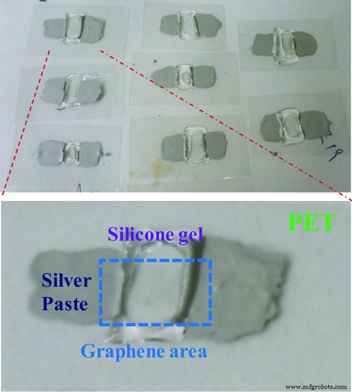 Un biosensor flexible de grafeno para detección rápida y altamente sensible de células de cáncer ovárico