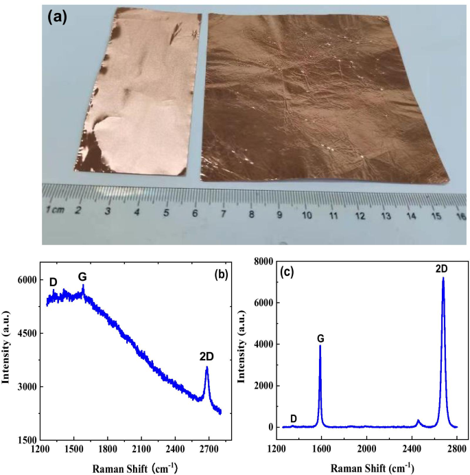 Un biosensor flexible de grafeno para detección rápida y altamente sensible de células de cáncer ovárico