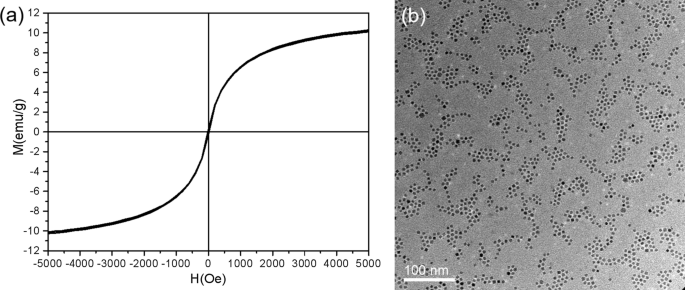 Mecanismo de superredes de nanopartículas ordenadas y densamente empaquetadas formadas por deposición en fase gaseosa en superficies sin plantilla