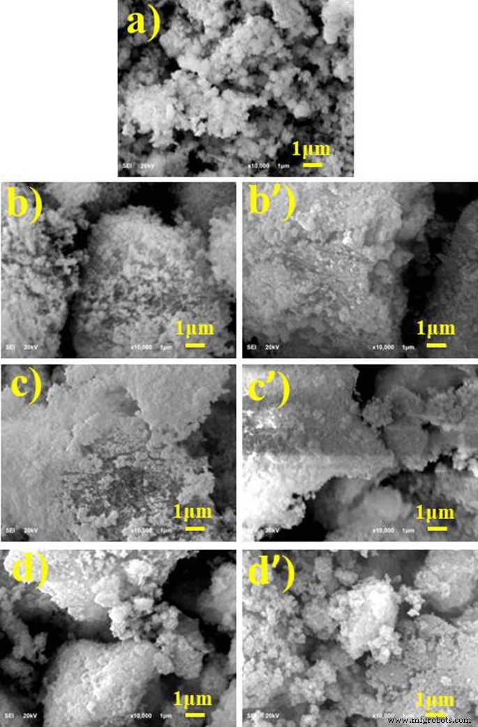 Nanopartículas de Óxido de Cobre Dopadas con Extractos de Jengibre y Ajo Exhiben Potente Actividad Antibacteriana contra Escherichia coli