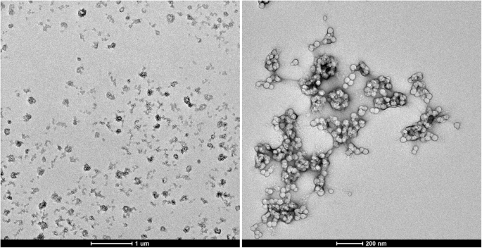 Captación eficiente de clorina e6 y transferencia de energía mejorada en nanopartículas híbridas PS-PPO-PNIPAM
