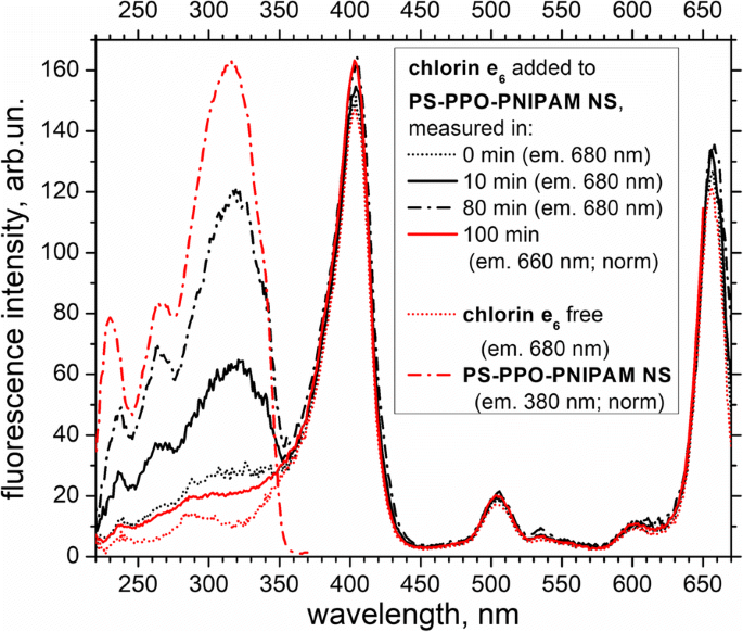 Captación eficiente de clorina e6 y transferencia de energía mejorada en nanopartículas híbridas PS-PPO-PNIPAM