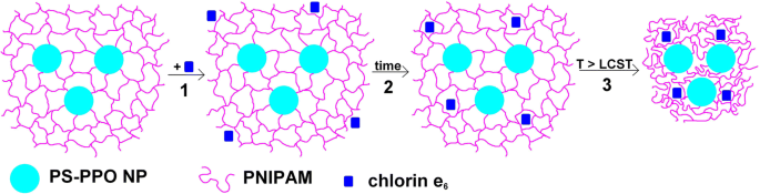 Captación eficiente de clorina e6 y transferencia de energía mejorada en nanopartículas híbridas PS-PPO-PNIPAM