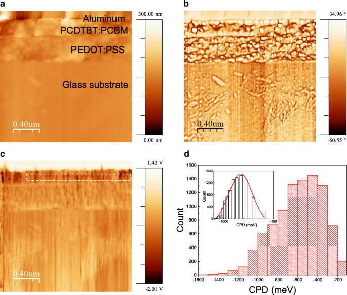 Microscopía de Fuerza Kelvin Transversal Revela Caída de Potencial y Barrera Schottky en Células Solares de Heterounión Voluminoso PCDTBT:PCBM Gruesas