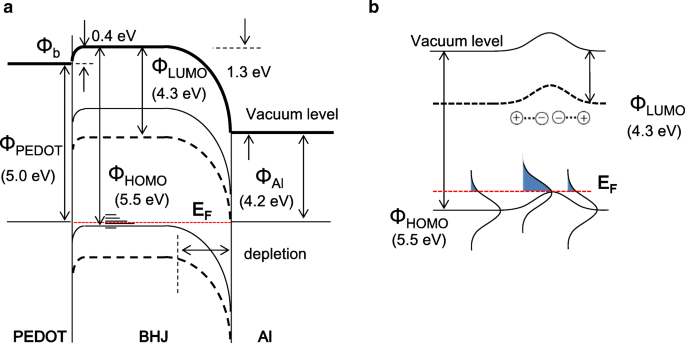 Microscopía de Fuerza Kelvin Transversal Revela Caída de Potencial y Barrera Schottky en Células Solares de Heterounión Voluminoso PCDTBT:PCBM Gruesas