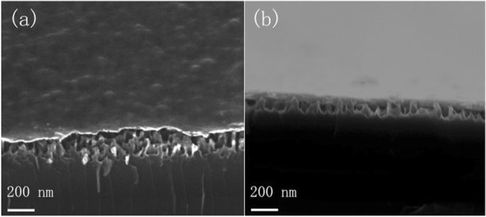 Celdas Solares Híbridas Orgánico-Silicio Nanoestructurado Mejoradas vía Modificación Superficial para Eficiencia Superior