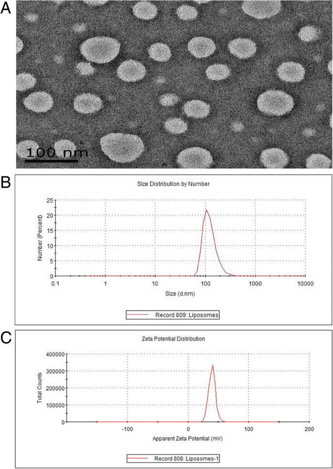 Nanosonda Dual RM/Fluorescencia cRGD-Gd-Cy5.5 para Imagen Dirigida de Tumores Integrina αvβ3-Positivos