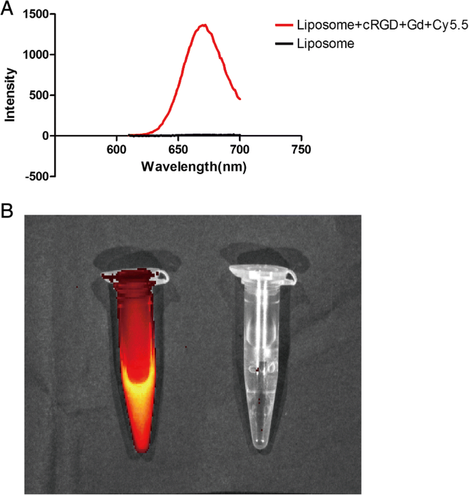 Nanosonda Dual RM/Fluorescencia cRGD-Gd-Cy5.5 para Imagen Dirigida de Tumores Integrina αvβ3-Positivos