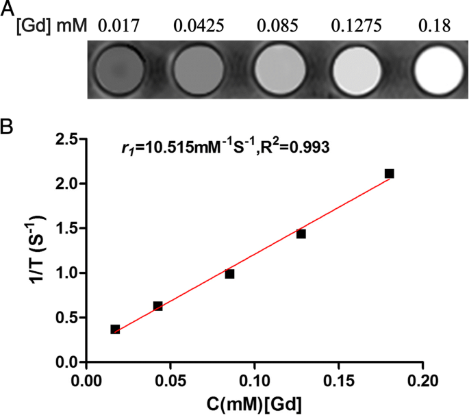 Nanosonda Dual RM/Fluorescencia cRGD-Gd-Cy5.5 para Imagen Dirigida de Tumores Integrina αvβ3-Positivos
