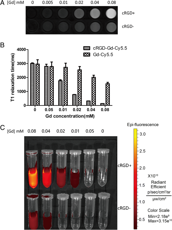 Nanosonda Dual RM/Fluorescencia cRGD-Gd-Cy5.5 para Imagen Dirigida de Tumores Integrina αvβ3-Positivos