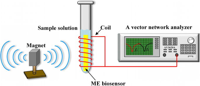Nanobiosensor Magnetoelástico Inalámbrico Logra Detección Ultra-Sensible de Atrazina
