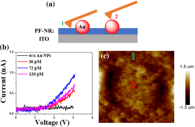 Las nanopartículas de oro mejoran el transporte de electrones en la interfaz del cátodo PF‑NR2 para iPLEDs de alto rendimiento