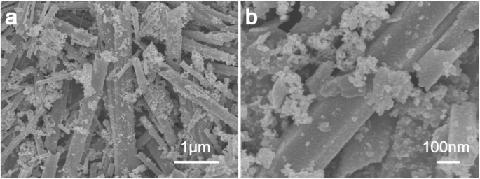Nanocobre Sulfuro Sintetizado Hidrotermalmente: Adsorción Superior de 17α-Etinil Estradiol