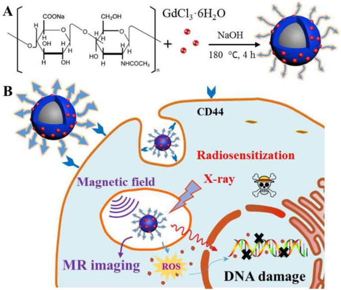 Nanopartículas de Gd₂O₃ funcionalizadas con ácido hialurónico: Mejora de la radioterapia guiada por RM para tumores