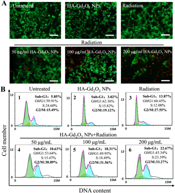 Nanopartículas de Gd₂O₃ funcionalizadas con ácido hialurónico: Mejora de la radioterapia guiada por RM para tumores