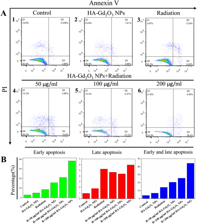 Nanopartículas de Gd₂O₃ funcionalizadas con ácido hialurónico: Mejora de la radioterapia guiada por RM para tumores