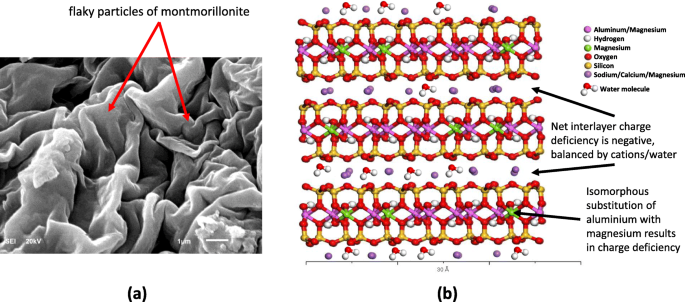 Nanoarcillas: Una Prometedora Defensa Nano-Inmune Contra el COVID-19