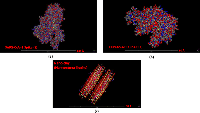 Nanoarcillas: Una Prometedora Defensa Nano-Inmune Contra el COVID-19