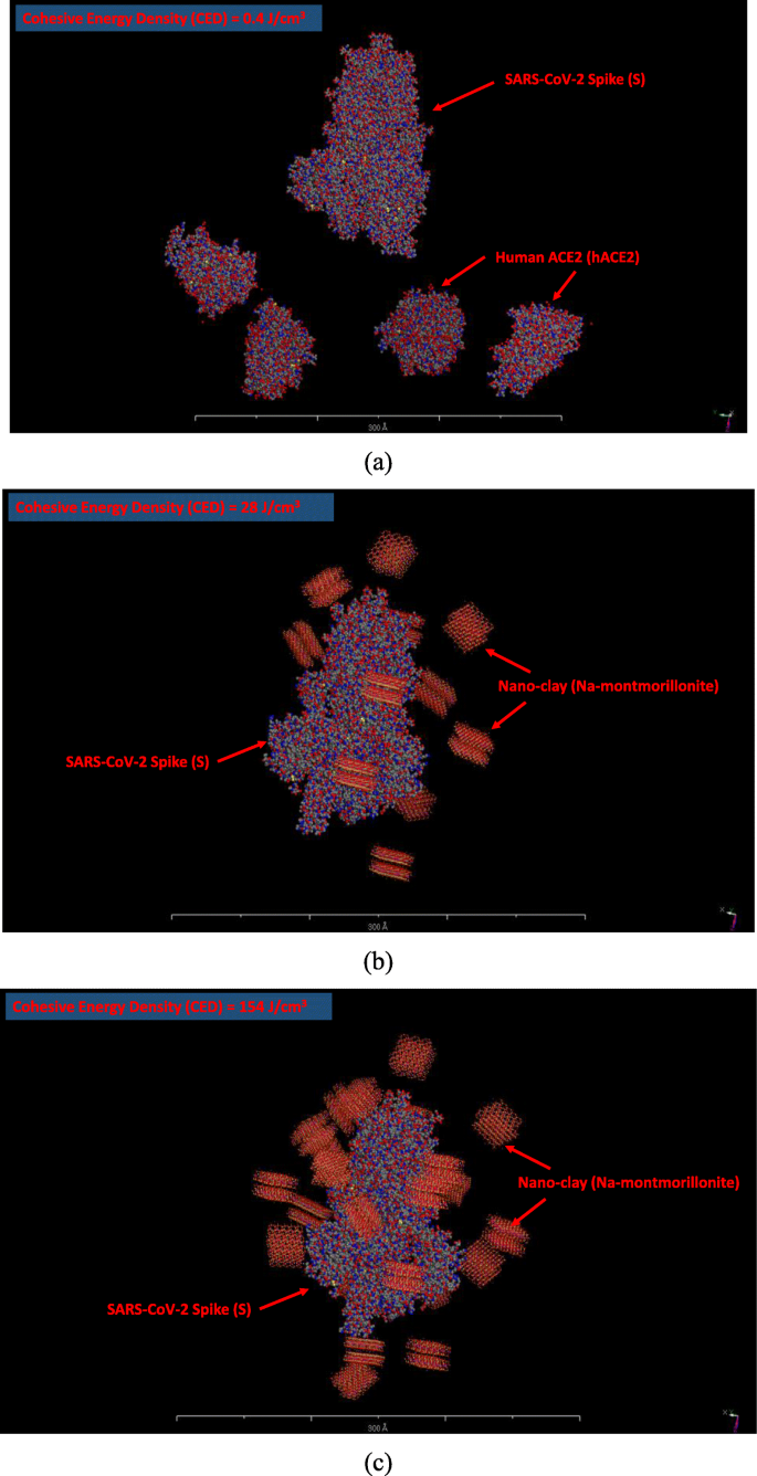 Nanoarcillas: Una Prometedora Defensa Nano-Inmune Contra el COVID-19