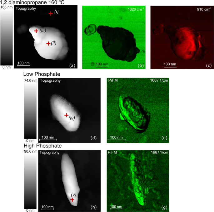 Cómo los directores de crecimiento moldean nanobarras de hematita: un estudio de síntesis hidrotermal