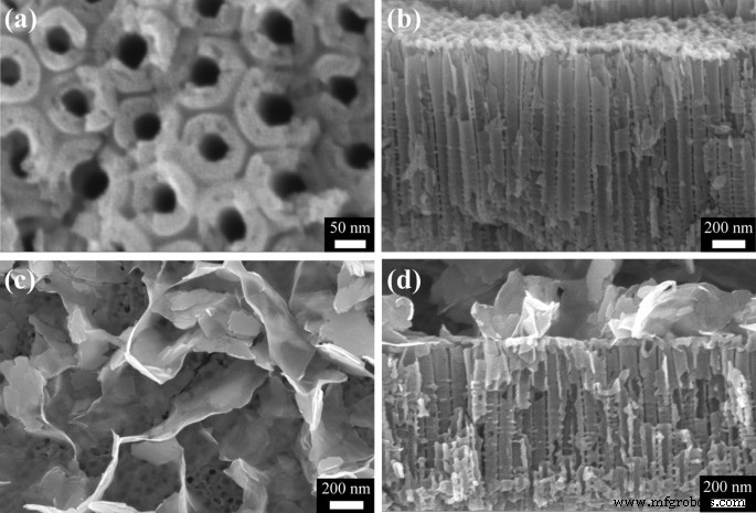 Fotoánodo de Nanotubos TiO₂/SnIn₄S₈ Autoensamblado para Protección Catódica Fotónica Mejorada de Acero Q235 bajo Luz Visible