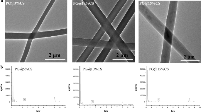 Nanofibras de Gelatina/Policaprolactona mejoradas con Sulfato de Condroitina: Andamio antitrombogénico con afinidad endotelial superior para ingeniería tisular vascular