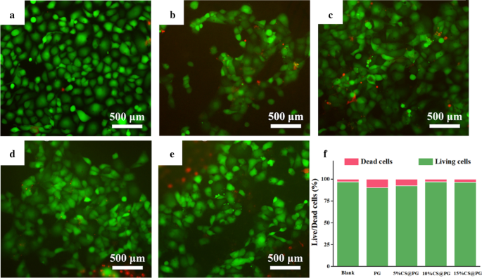 Nanofibras de Gelatina/Policaprolactona mejoradas con Sulfato de Condroitina: Andamio antitrombogénico con afinidad endotelial superior para ingeniería tisular vascular