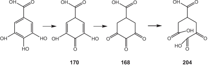 Síntesis eficiente de nanoplanchas de oro con agentes de recubrimiento orto-carbonilo para detección electroquímica sensible de iones plomo