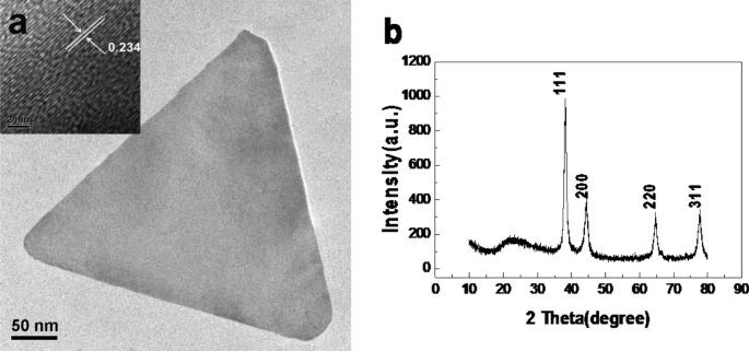 Síntesis eficiente de nanoplanchas de oro con agentes de recubrimiento orto-carbonilo para detección electroquímica sensible de iones plomo