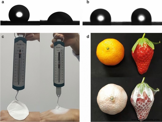 Nanofibras de curcumina electrohiladas in situ: Acción antibacteriana dual para esterilizar bacterias resistentes a fármacos