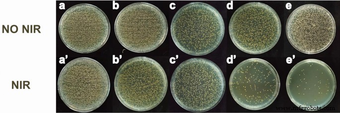 Nanofibras de curcumina electrohiladas in situ: Acción antibacteriana dual para esterilizar bacterias resistentes a fármacos