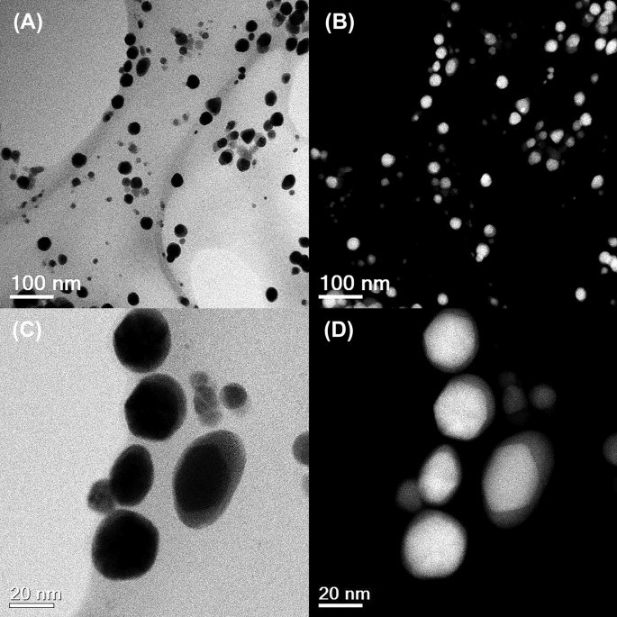 Nanopartículas biogénicas Au@Ag core-shell sintetizadas con extracto de Rumex hymenosepalus para aplicaciones antimicrobianas