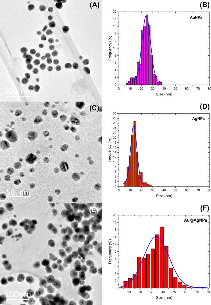 Nanopartículas biogénicas Au@Ag core-shell sintetizadas con extracto de Rumex hymenosepalus para aplicaciones antimicrobianas