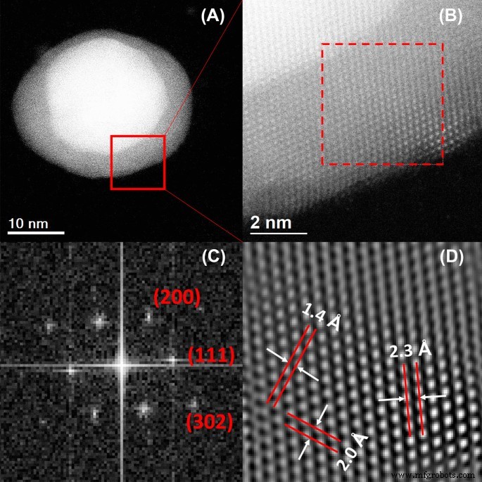 Nanopartículas biogénicas Au@Ag core-shell sintetizadas con extracto de Rumex hymenosepalus para aplicaciones antimicrobianas