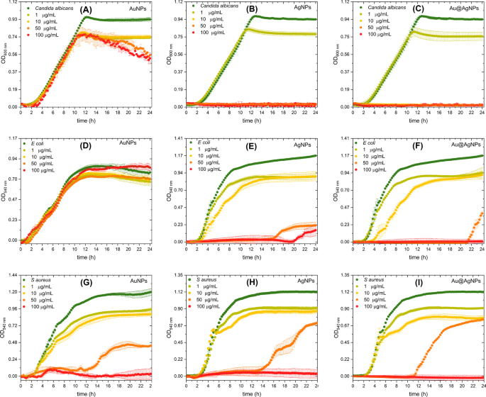 Nanopartículas biogénicas Au@Ag core-shell sintetizadas con extracto de Rumex hymenosepalus para aplicaciones antimicrobianas
