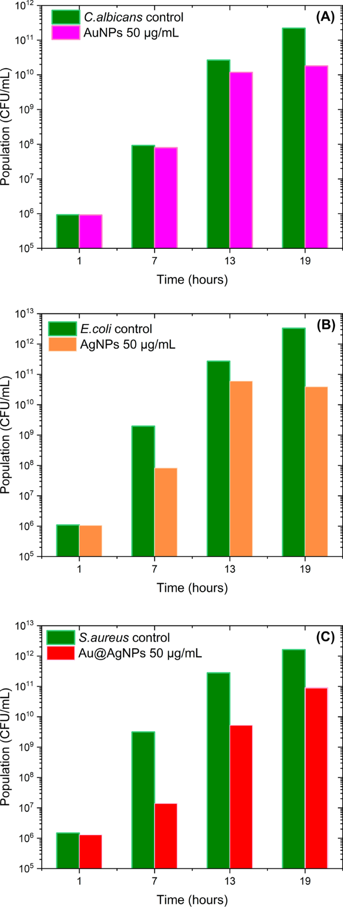 Nanopartículas biogénicas Au@Ag core-shell sintetizadas con extracto de Rumex hymenosepalus para aplicaciones antimicrobianas